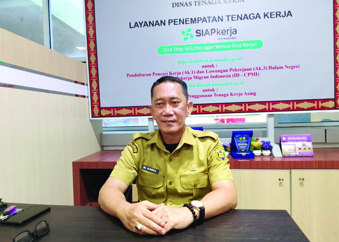 3.093 Pencari Kerja Terdata di Bandar Lampung Sepanjang 2025 hingga Januari 2026