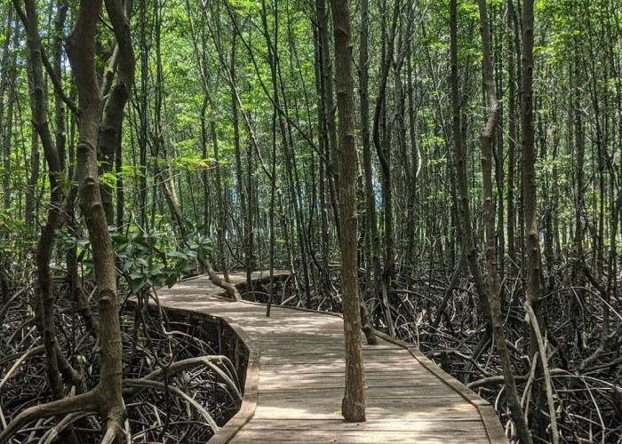 Pesona Pantai Dewi Mandapa Lewat Pulau Cinta Tersembunyi