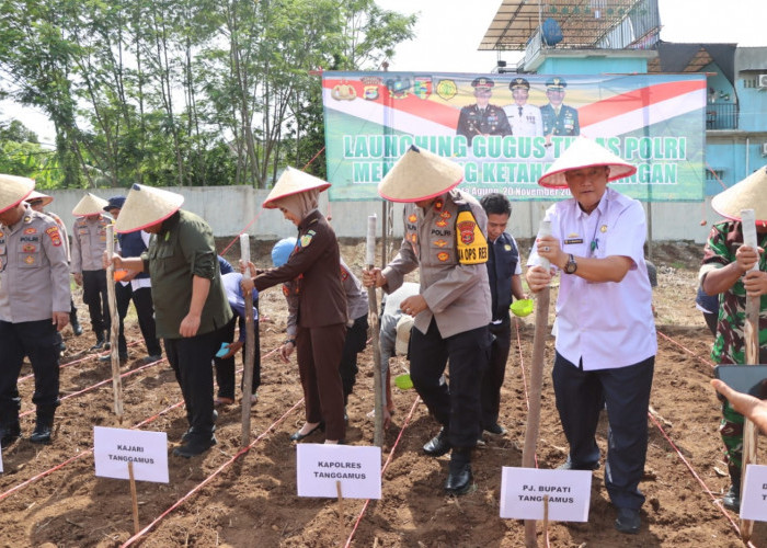   Dukung Ketahanan Pangan, Polres Tanggamus Tanam Jagung 