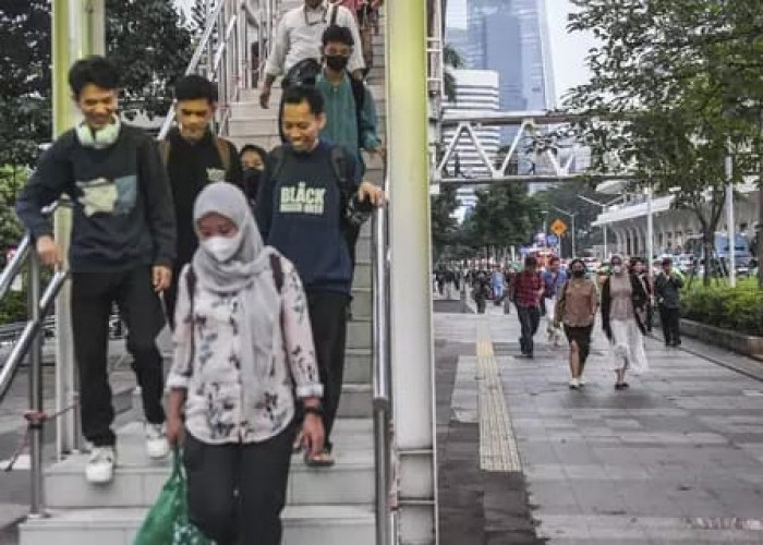 Lampung Masuk Lima Besar Side Jobs Tertinggi