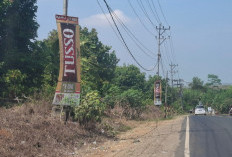 Diduga Tak Memiliki Izin, Sejumlah Banner Rokok TUSSO Marak di Lampura