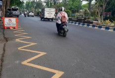 Pernah Lihat Markah Zig-Zag di Pinggir Jalan? Ini Artinya!