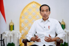 Waring Presiden Jokowi, Ada Pelanggaran Pemilu, Lapor!