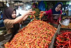  Libur Lebaran 2025, Harga Cabai Stabil