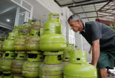  Tata Kelola LPG 3 Kg Harus Dibenahi