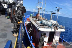 Delapan Bulan, KKP Sebut  Tangkap 116 Kapal Illegal Fishing