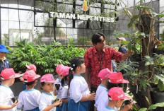  Kantong Semar Terancam Punah