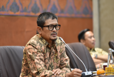 Bukalapak Tutup, DPR Minta Mitigasi UMKM 