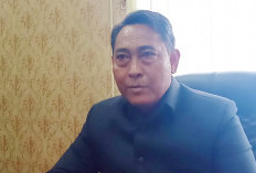 Anggota DPRD Lamteng I Kade Asian Nafiri Ingatkan Pentingnya Percepatan Pengesahan RPJMD Lamteng