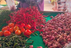Cabai, Ikan dan Ayam di Metro Semakin Mahal