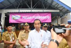 Musim Panen Mundur, Jokowi Pastikan Stok Beras Aman