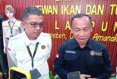 Selundupkan Enam Ribu Burung Liar, Diamankan
