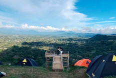 Gerbang Langit, Sensasi Camping Ground dengan Pemandangan Kabut Tipis saat Fajar