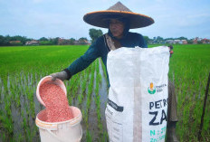 Pabrik Pupuk Akan Direvitalisasi