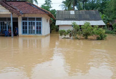 Enam Desa di Mesuji Terendam Banjir