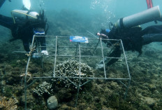 Kisah Unila Genera-Z Berbakti, Melindungi Surga Tersembunyi di Teluk Kiluan