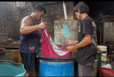  Dirintis sejak SMA, Usaha Tahu  Mas Puguh Beromzet Ratusan Juta 