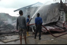 Ditinggal ke Ladang, Rumah Warga di Tuba Terbakar