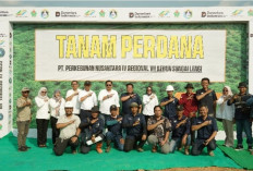 Dari Tanah yang Ditanam, Tumbuh Kebaikan yang Dihidupkan