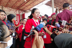 Puan Maharani Minta Semua Pihak Fokus Tangani Bencana, Respons Usulan Koalisi Permanen Bahlil