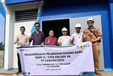 Dorong Kemajuan Industri di Lampung, PLN Pasang Jaringan Baru di PT Canggu Coco Liz 