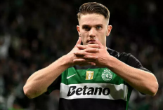   Arsenal Beli Viktor Gyokeres Rp1,3 T dari Sporting CP 