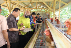   Qudrotul Ingatkan Pengelolaan BUMKam Harus Baik 