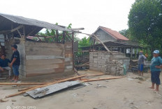 Dua Desa di Wayserdang Mesuji Diterjang Puting Beliung, 12 Rumah Rusak