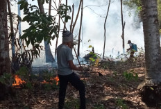 Lahan Milik Warga di Mesuji Terbakar