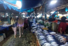 Cuaca Buruk di Laut Lampung, Tangkapan Nelayan Menurun, Harga Ikan Melonjak