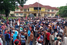 Sepakat! Harga Singkong Naik Jadi Rp 1.400/Kg
