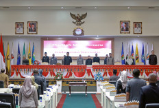 Raperda Perubahan APBD 2025 Disahkan, Pemprov dan DPRD Lampung Sepakat Perkuat Sinergi