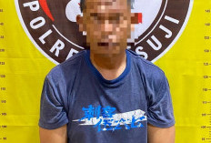 Akhir Tahun Polres Mesuji Amankan Puluhan Paket Sabu Siap Edar