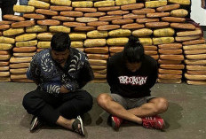 Dua Tersangka Diamankan, 143 Kilogram Ganja Gagal Edar