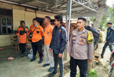  Pendaki Meninggal di Gunung Pesagi