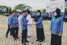 CPNS 2024 Pringsewu Mulai Terima Gaji Juli 