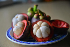 Jangan Dibuang! Ini 9 Manfaat Luar Biasa dari Biji Buah Manggis