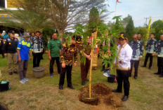  Kunker ke Pringsewu, Pj. Gubernur Blusukan ke Pasar