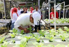 Pj. Gubernur Lampung Samsudin Promosikan PKK Agropark