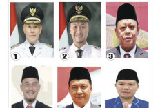 Muncul 6 Kandidat Calon Bupati Lamsel