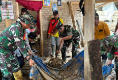 Alih Fungsi Hutan TNBBS Diduga Jadi Pemicu Banjir Bandang di Suoh-BNS