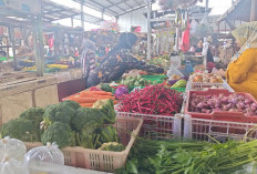  Musim Hujan, Harga Sayuran Naik
