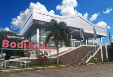 Kesempatan Berkarir, PT Budi Berlian Motor Butuh Empat Sales Marketing