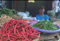 Harga Cabai Caplak di Bandar Lampung Tembus Hingga Rp 100 Ribu