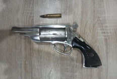 Polres Mesuji Tangkap DPO Kepemilikan Senpi
