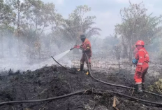  BMKG Deteksi 53 Titik Panas di Sumatera 