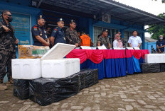  Penyelundupan Benih Lobster Senilai Rp7,8 M Digagalkan 