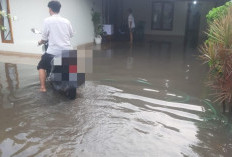 Hujan Deras, Jalan Hingga Sejumlah Sekolah di Sukarame Tergenang Banjir