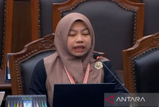 Pakar UI Paparkan 7 Masalah Klasik pada Pemilihan Kepala Daerah 2024