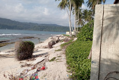 Abrasi Ancam Pemukiman dan Puskesmas Pulau Pisang 